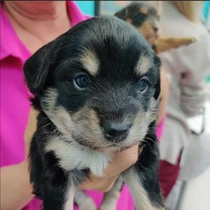 Meet your Posher, Sheri